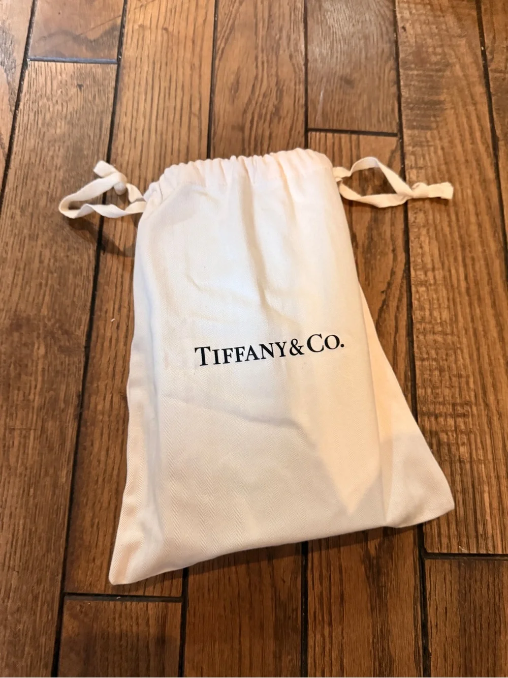Tiffany & Co. co zipper leather